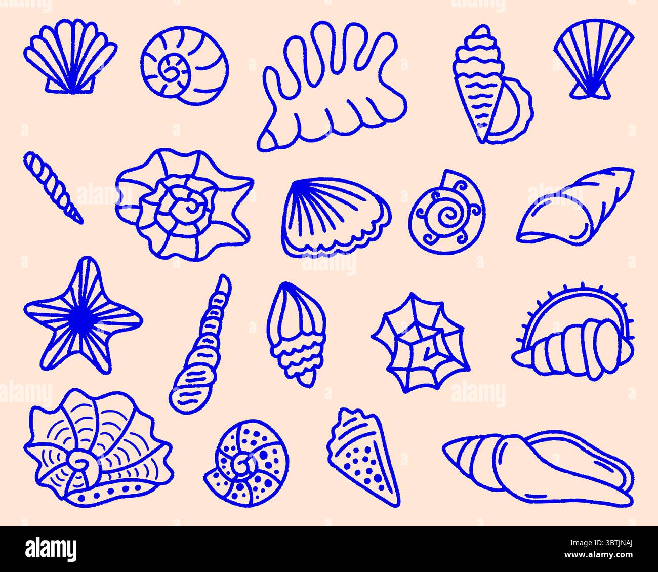 Handgezeichnete Vektor-Illustration von Muscheln und Seesternen, Muschelkollektion, Sommer Reise Marine Kit. Unterwasser-Muschelset, Doodle Outline Stock Vektor