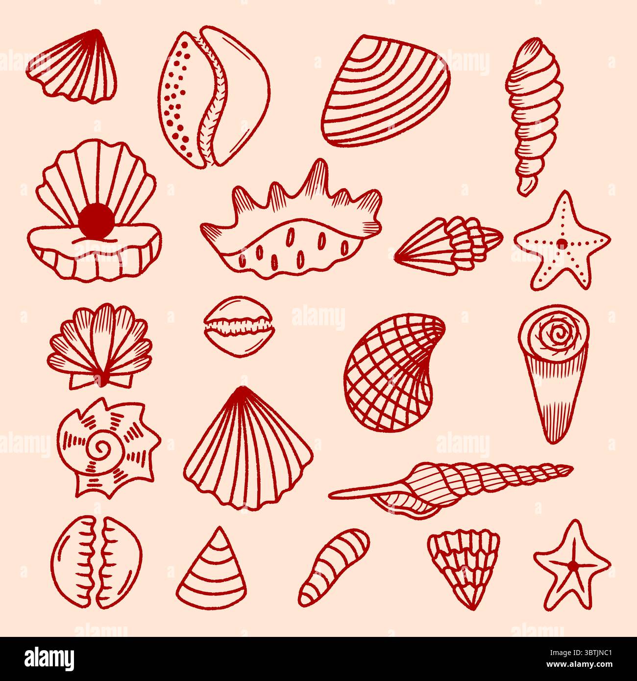 Handgezeichnete Vektor-Illustration von Muscheln und Seesternen, Muschelkollektion, Sommer Reise Marine Kit. Unterwasser-Muschelset, Doodle Outline Stock Vektor