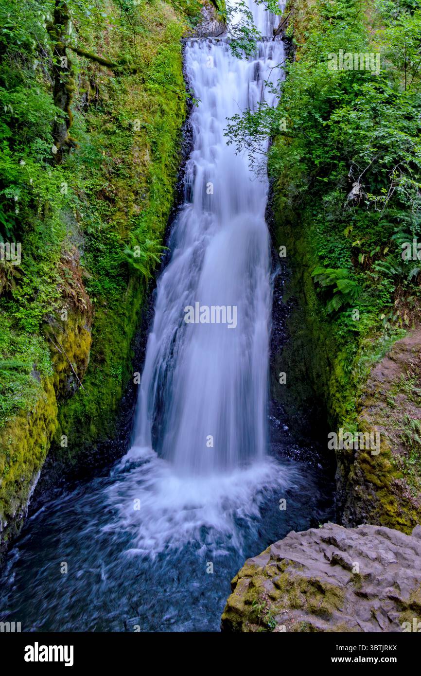 Lower Bridal Veil Falls, Oregon Stockfoto