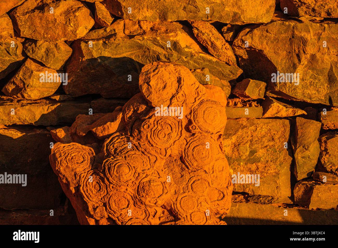 Steinmauer mit Fossilien, Boutchrafine in der Nähe von ErfoudErrachidia, Marokko Stockfoto