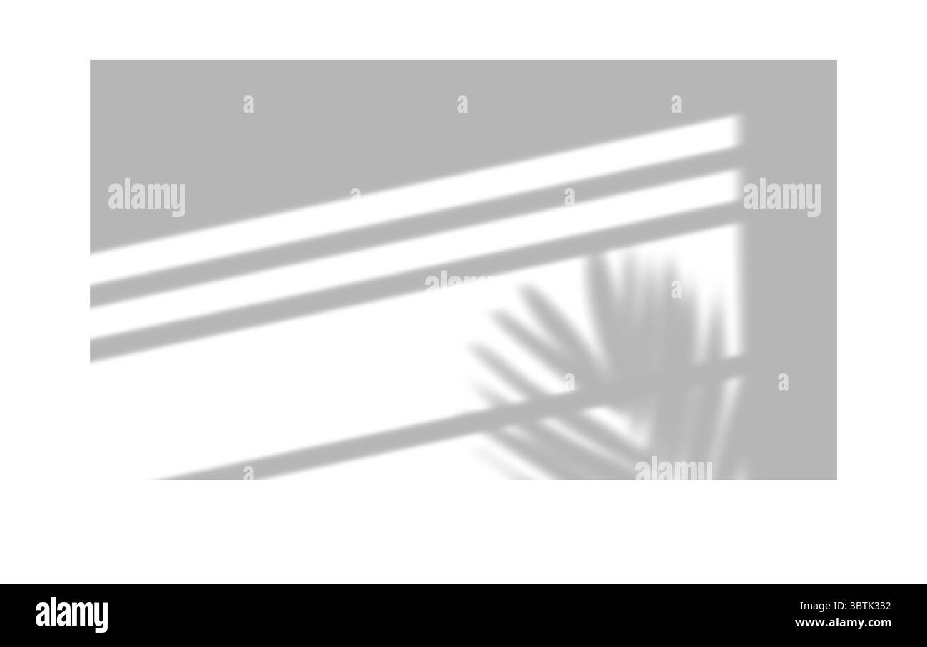 Schatten von Fenstern, Öffnungen und tropischen Pflanzen. Hochwertige Schatten. Vektorabbildung Ai- und EPS-Datei. Stock Vektor