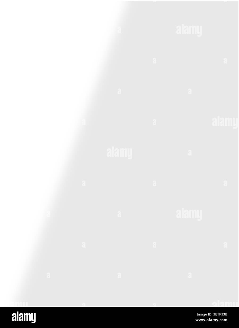 Schatten von Fenstern, Öffnungen und tropischen Pflanzen. Hochwertige Schatten. Vektorabbildung Ai- und EPS-Datei. Stock Vektor