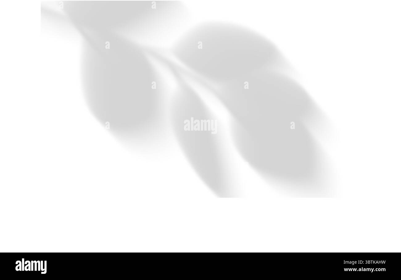 Realistischer Palmblattschattenüberlagerungseffekt isoliert auf weißem Hintergrund, natürlicher Schatten des tropischen Palmenzweigs. Mockup von transparentem Schatten für Produ Stock Vektor