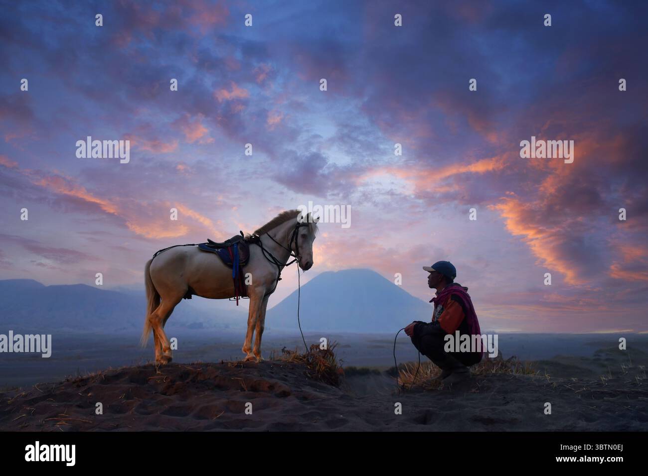 Mann, der sich neben seinem Pferd hockt, Bromo Tengger Semeru Nationalpark, Ost-Java, Indonesien Stockfoto