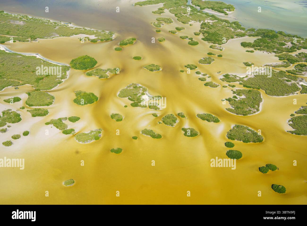 Aus der Vogelperspektive des Brackwassers verschmelzen sich mit üppig grünen Inseln, wodurch ein lebhaftes Mosaik von oben entsteht, Merida, Yucatan, Mexiko. Stockfoto