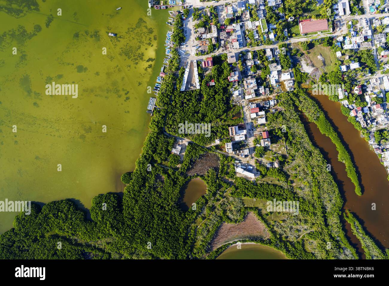 Aus der Vogelperspektive auf das pulsierende grüne Wasser steht im Kontrast zu den Erdtönen des Landes und zeigt eine einzigartige Mischung aus Natur und menschlicher Siedlung., Merida, Yucatan, Mexiko. Stockfoto