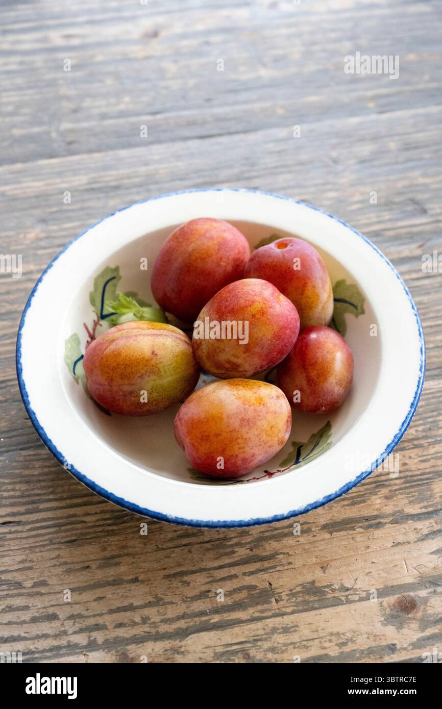 Eine Schüssel mit frisch geerntetem, selbstgeerntetem Obst, Victoria Plum - Prunus domestica auf einem geschrubbten Holztisch in England Stockfoto