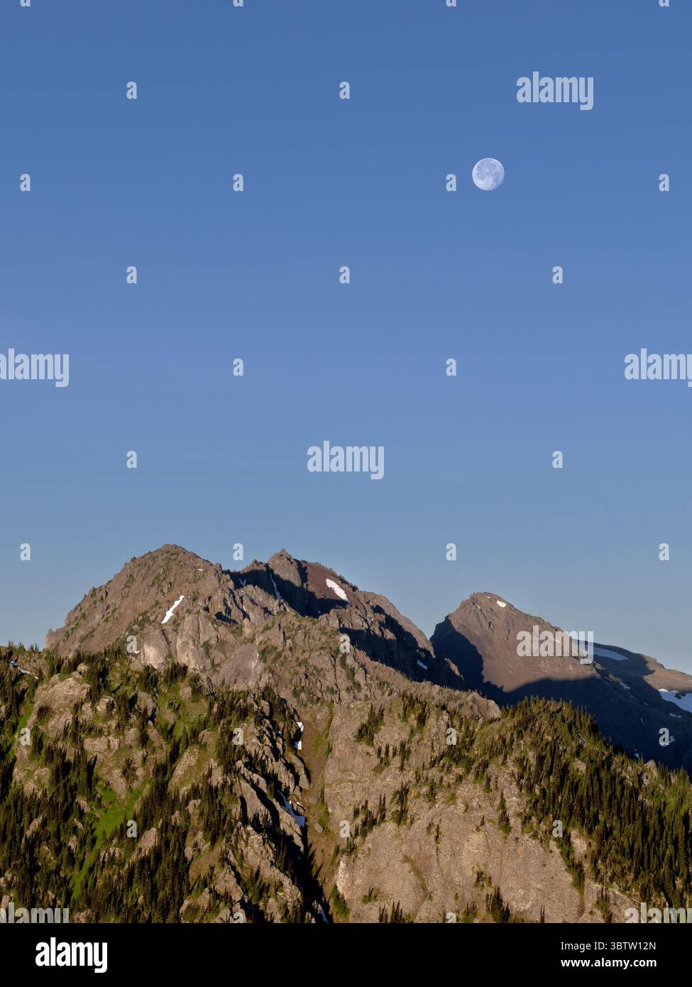 WA26679-00..... WASHINGTON - Mond über den Olympischen Bergen vom Mount Townsend in der Buckhorn Wilderness. Stockfoto