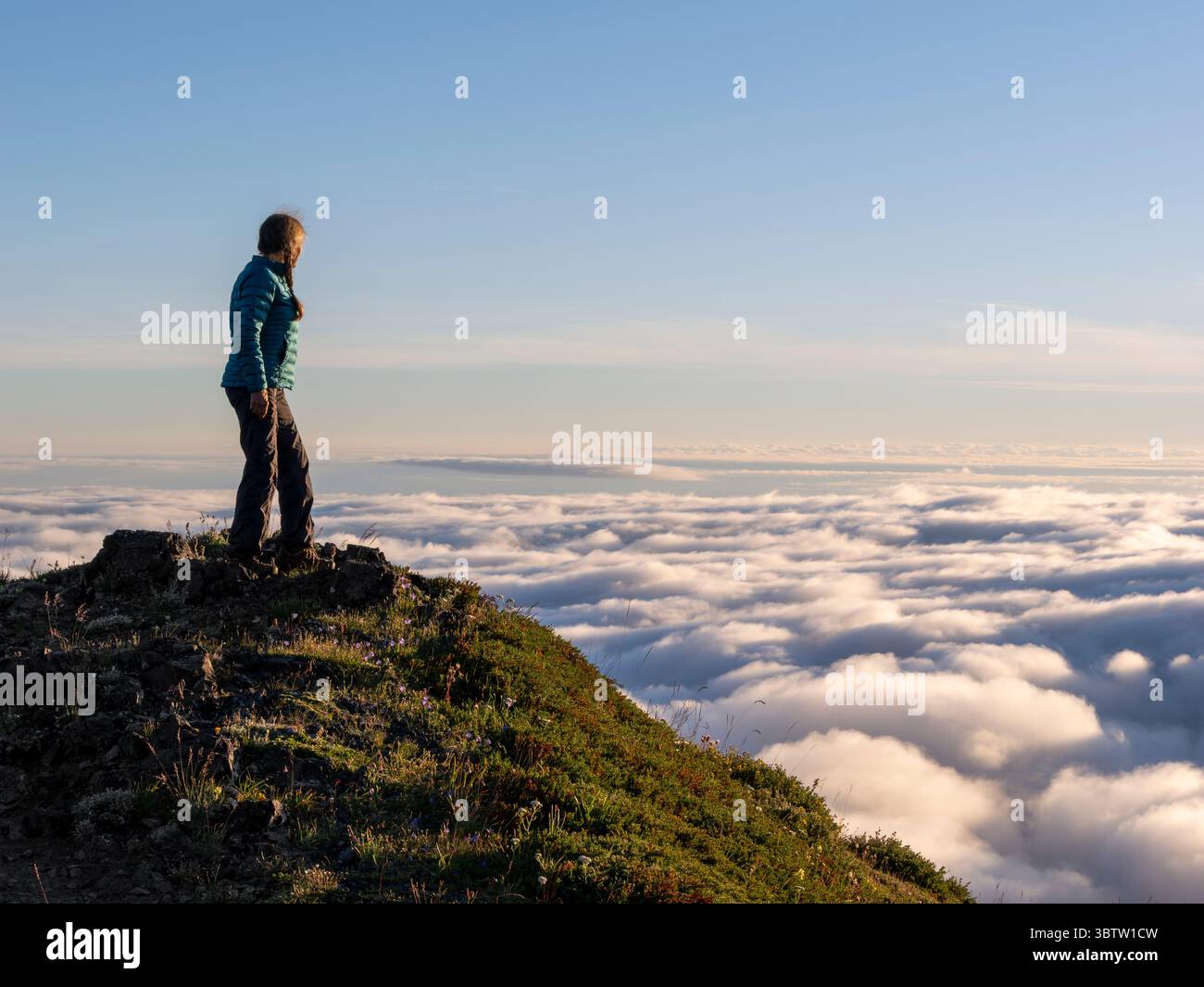 WA26684-00..... WASHINGTON – Talwolken vom Mount Townsend in der Buckhorn Wilderness. MR#S1 Stockfoto