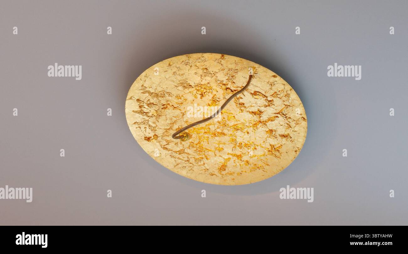 Golden Lamp Eleganz trifft auf Schweizer Design – eine Leuchte, die Stil und Substanz spricht. Stockfoto