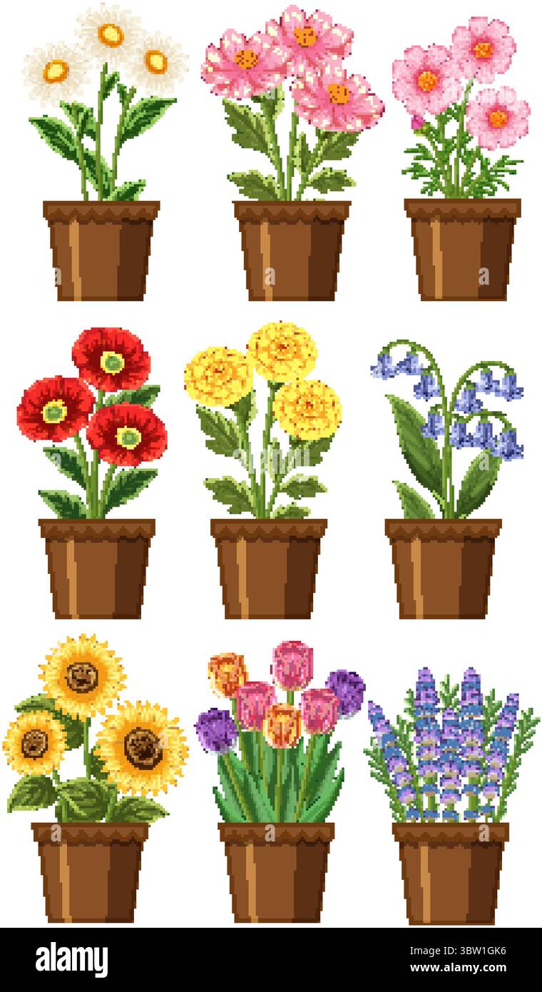 Eine lebendige Vektor-Illustration von verschiedenen Topfblumen in einem Rasterlayout mit verschiedenen Farben und botanischen Details Stock Vektor