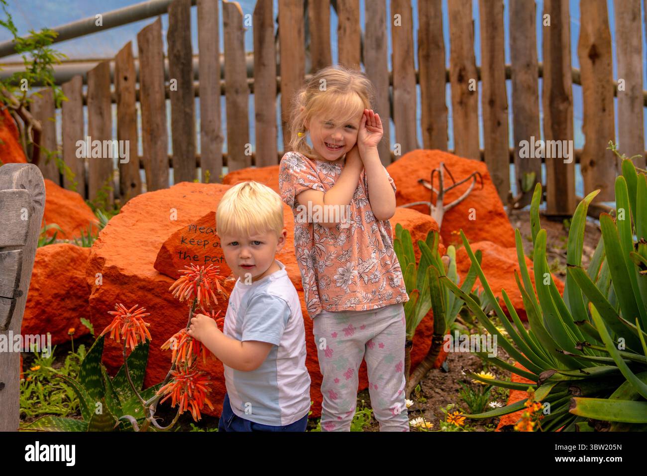 Lächelnde Kinder erkunden die pulsierenden Gärten des Eden Project, Cornwall, umgeben von tropischen Pflanzen und leuchtend roten Felsen. Stockfoto