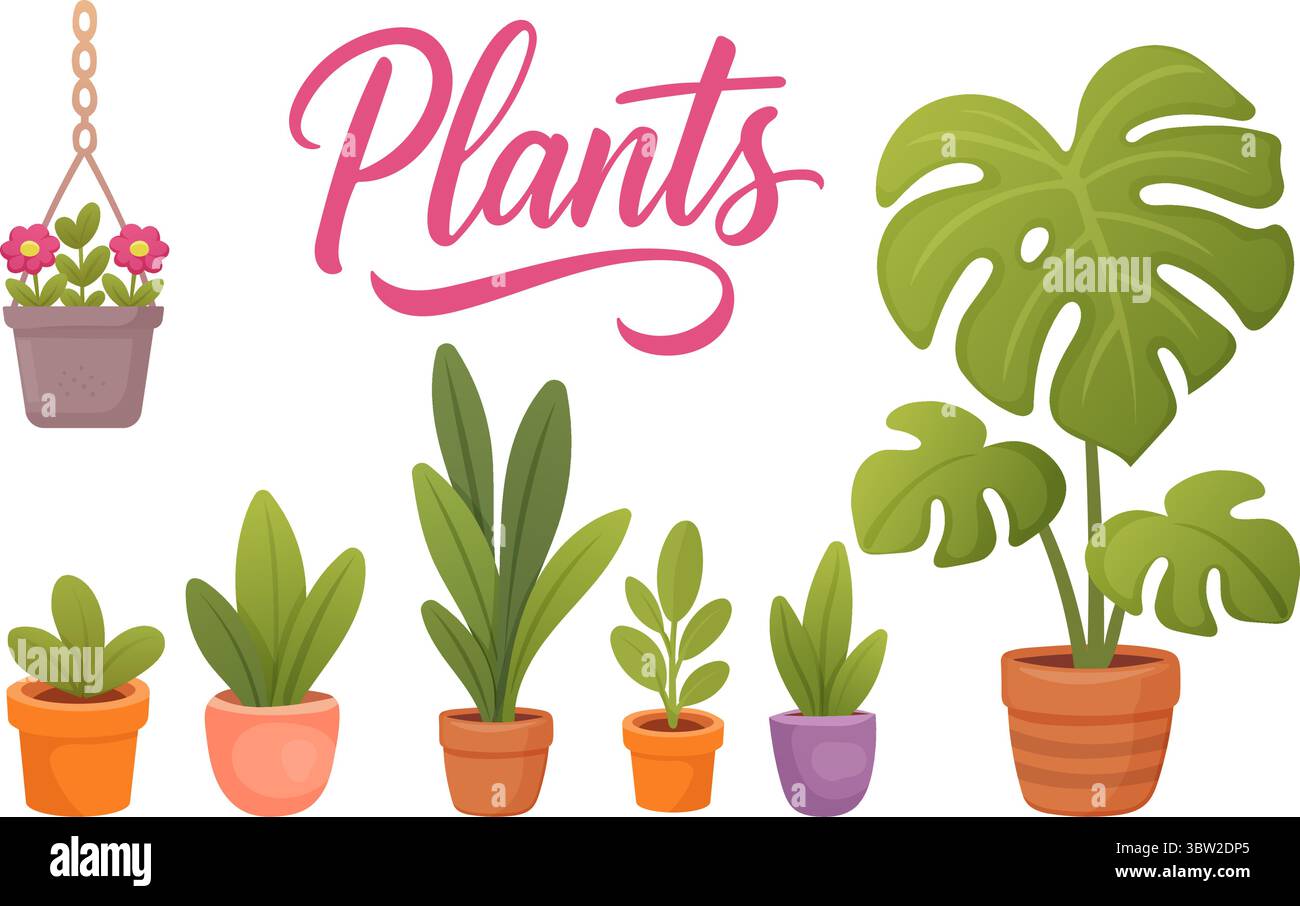 Zimmerpflanzen-Kollektion mit Monstera-Hängetopf und Sukkulenten im Cartoon-Stil Stock Vektor