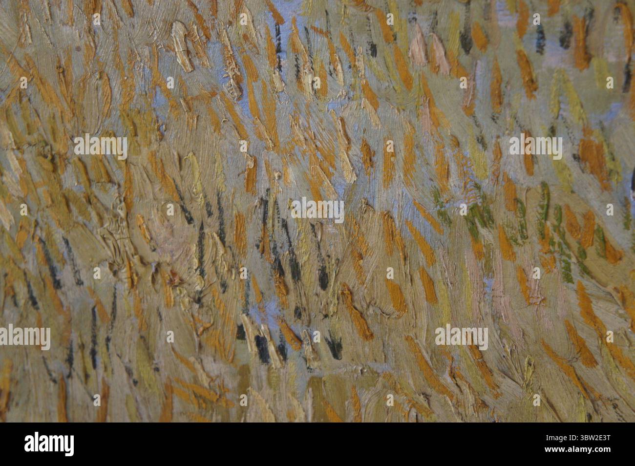 Detail eines Van Gogh Gemäldes - expressives Pinselwerk, Paris, Frankreich Stockfoto