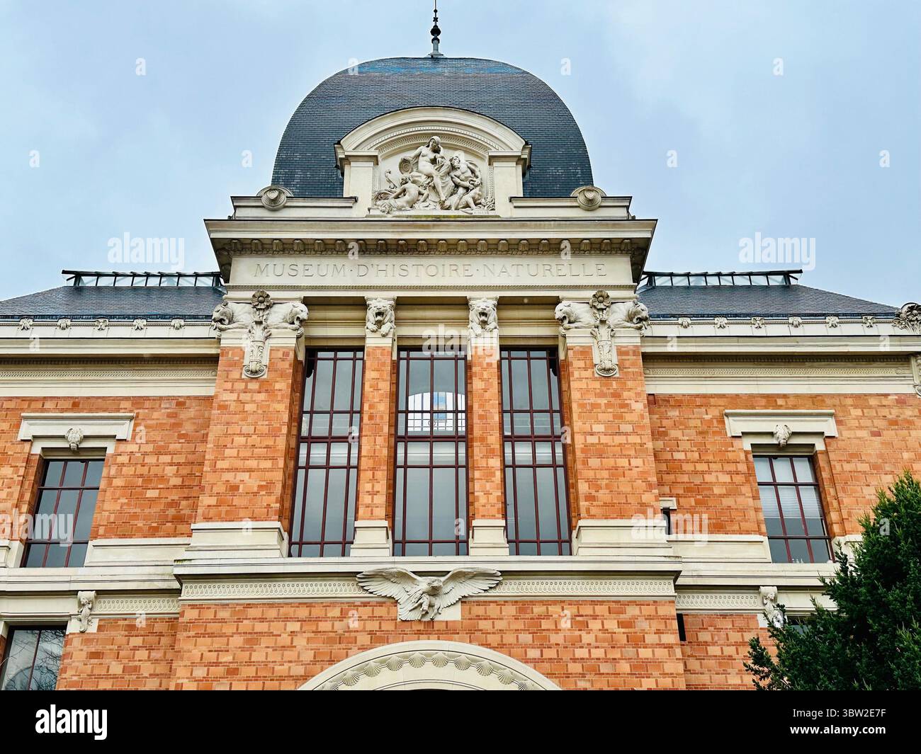 Fassade Des Naturkundemuseums, Paris, Frankreich Stockfoto