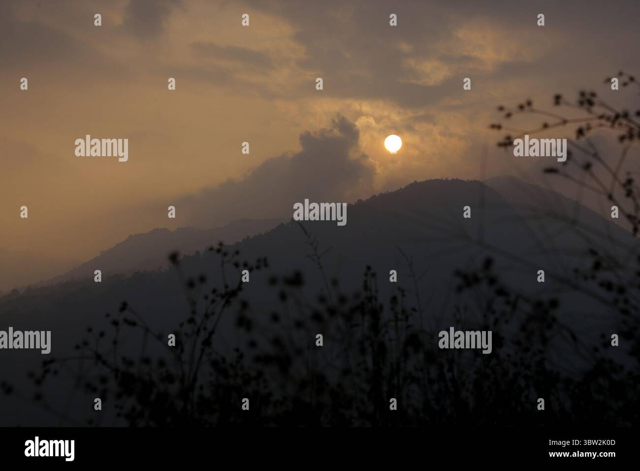 Ein ruhiger Blick auf den Sonnenaufgang, während die Sonne durch Wolken über nebelige Hügel schaut. Silhouetten von wilden Pflanzen im Vordergrund verleihen diesem friedlichen, frühen Monat Tiefe Stockfoto