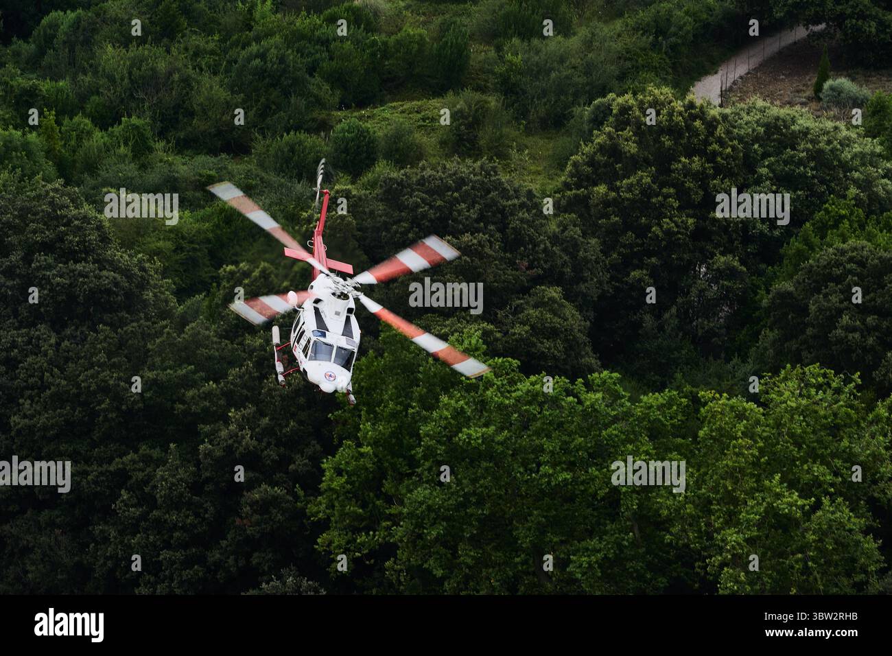 Weißer und roter Rettungshubschrauber, der über einen grünen Wald fliegt und Rettungsdienste und Unterstützung bietet Stockfoto