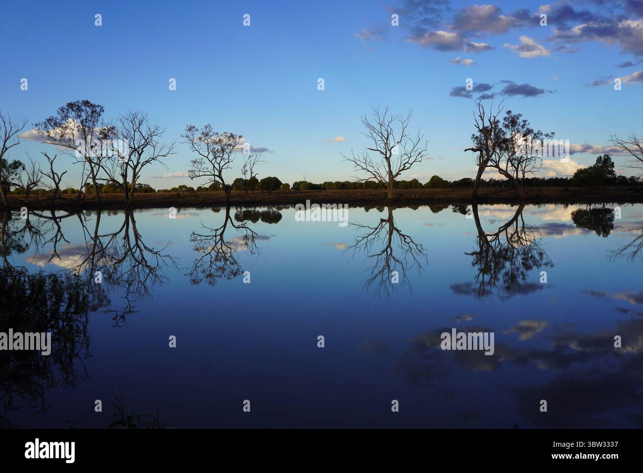 Billabong. Erleben Sie die Natur in Queensland, warm und sonnig auch im Winter. Condamine Lagoon, Outback Queensland. Stockfoto