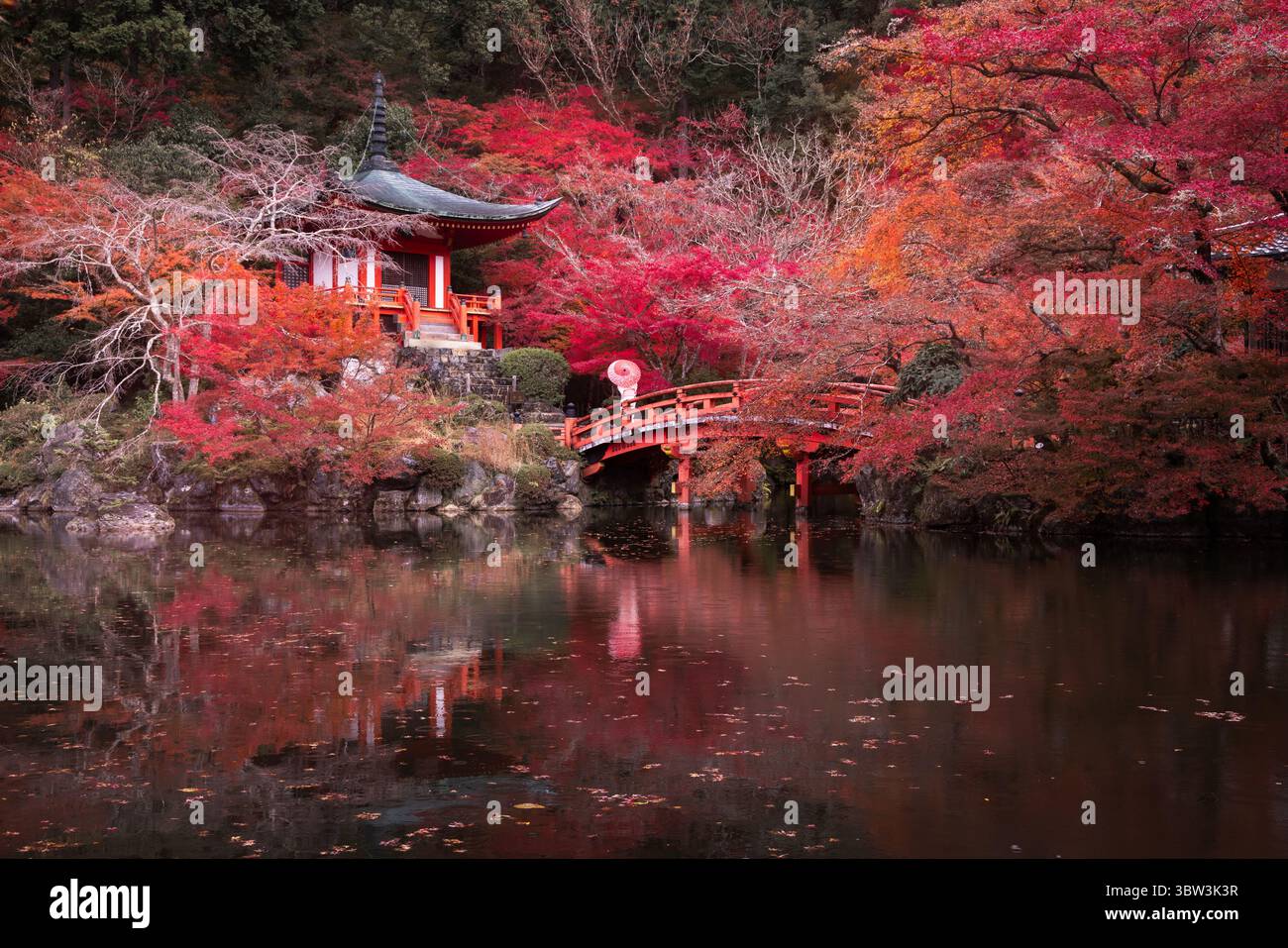 Blick auf leuchtende rote Ahornblätter, die eine traditionelle japanische Pagode und eine Bogenbrücke umschließen, die sich im ruhigen Teich, Kyoto, Japan, spiegelt. Stockfoto