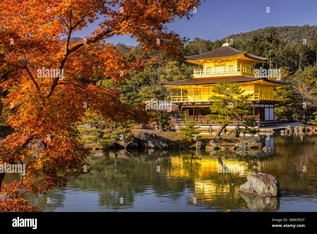 Blick auf den strahlenden goldenen Kinkaku-JI-Tempel, der sich auf dem ruhigen Wasser spiegelt, eingerahmt von lebhaftem Herbstlaub, Kyoto, Japan. Stockfoto