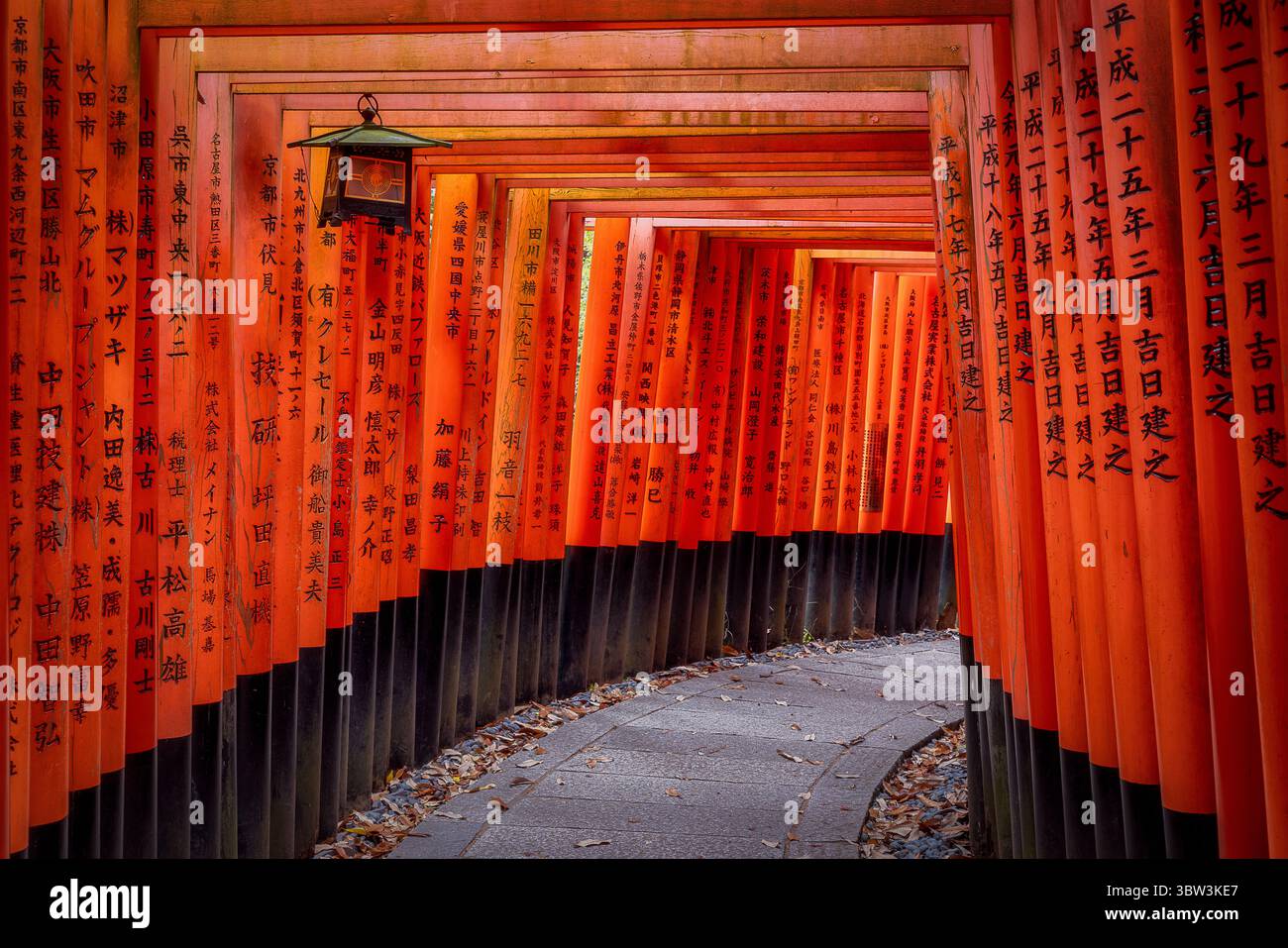 Blick auf einen scheinbar endlosen Pfad aus verMillionen Torii-Toren mit schwarzen Inschriften, die einen lebendigen Tunnel bilden, der die Erkundung von Kyoto, Kyoto, Japan anlockt. Stockfoto