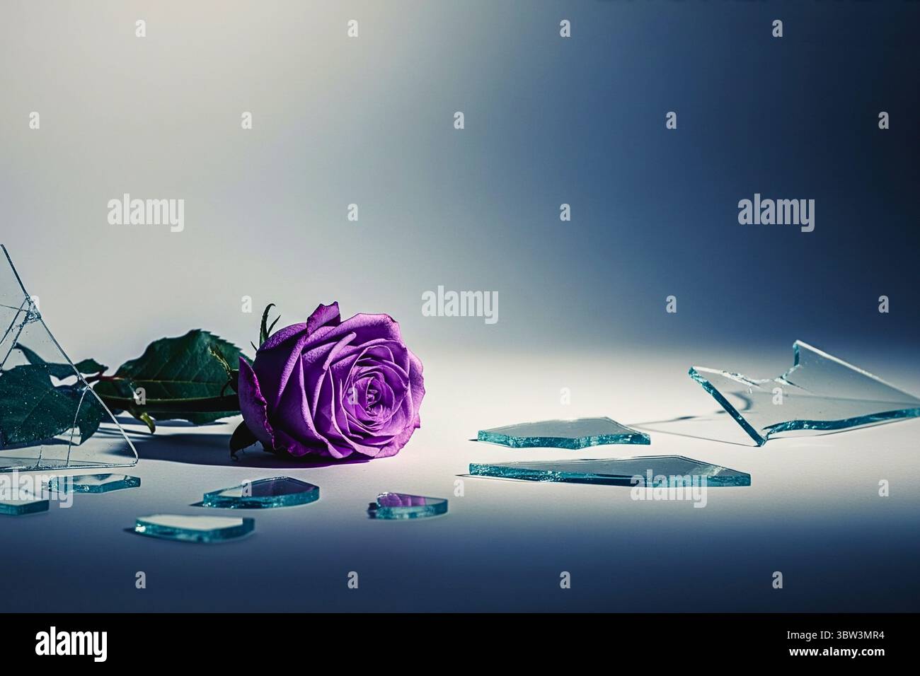 Shatattered Dreams: Eine einzelne, leuchtende Rose liegt inmitten von Glasscherben, die in ein weiches, stimmungsvolles Licht getaucht sind. Ein visuelles Gedicht. Stockfoto