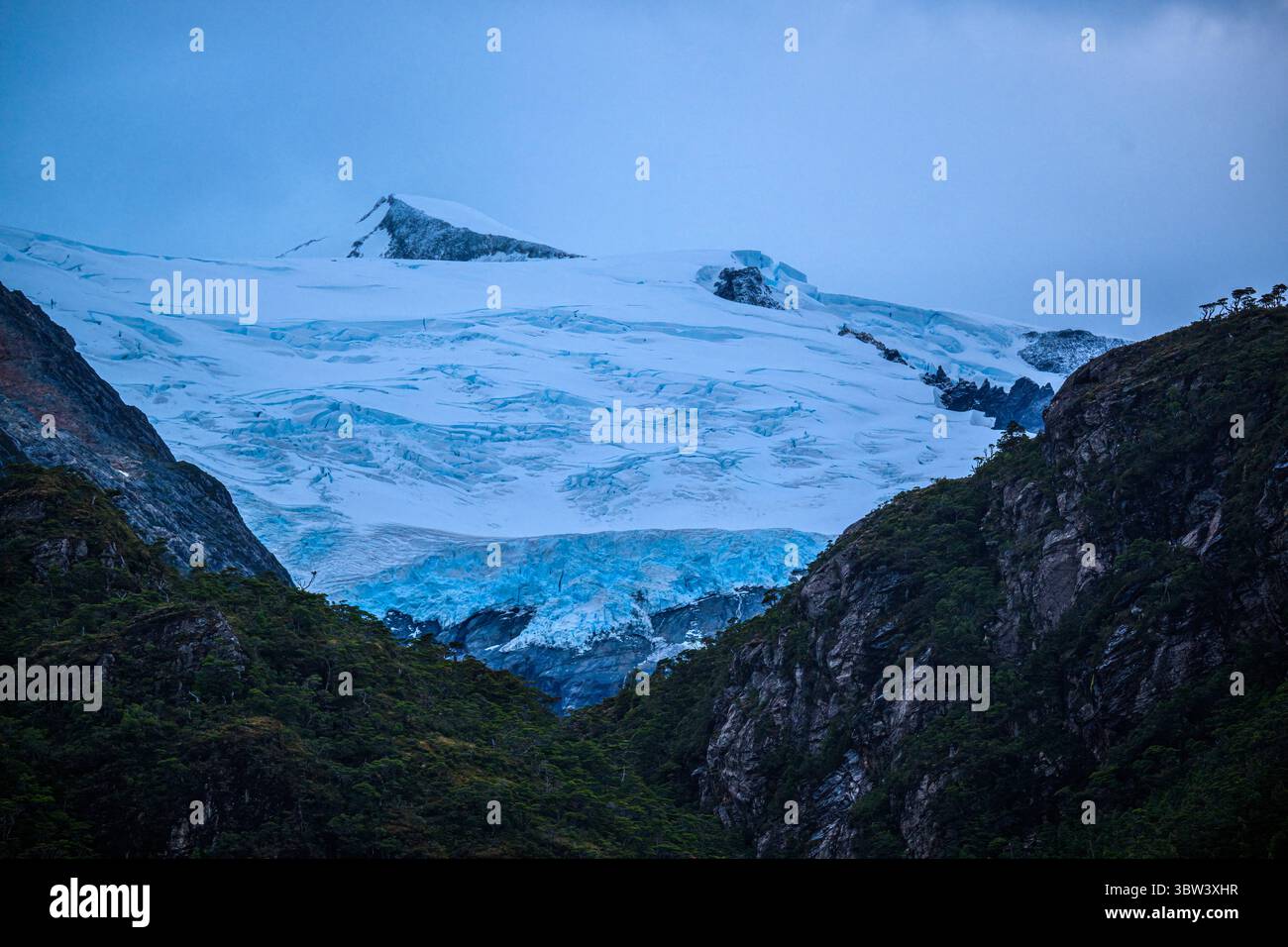 Eisfeld und Gletscher, Garibaldi-Fjord, Alberto de Agostini-Nationalpark, Chile, Patagonien, Chile, Stockfoto
