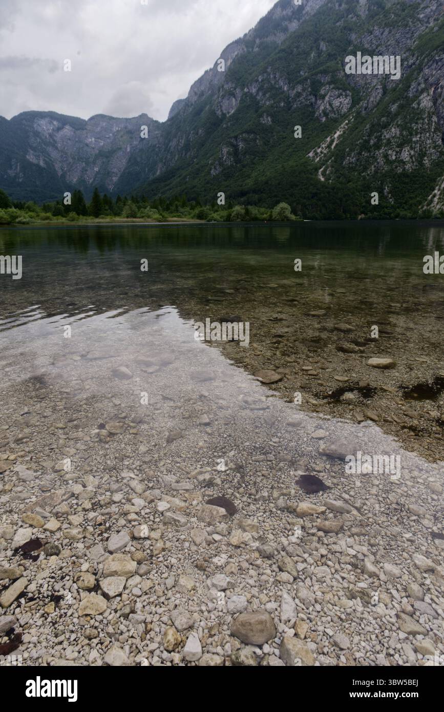 Ein kristallklarer See offenbart sein felsiges Bett, das die majestätischen, baumbedeckten Berge unter einem weichen Himmel reflektiert. Stockfoto