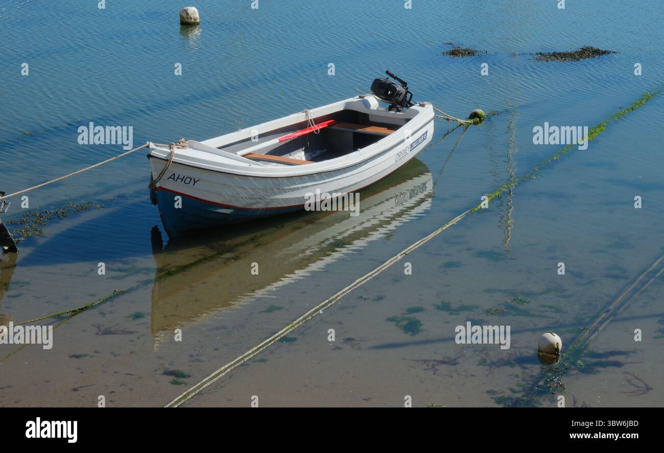 Weißes Ruderboot mit rotem Ruder Stockfoto