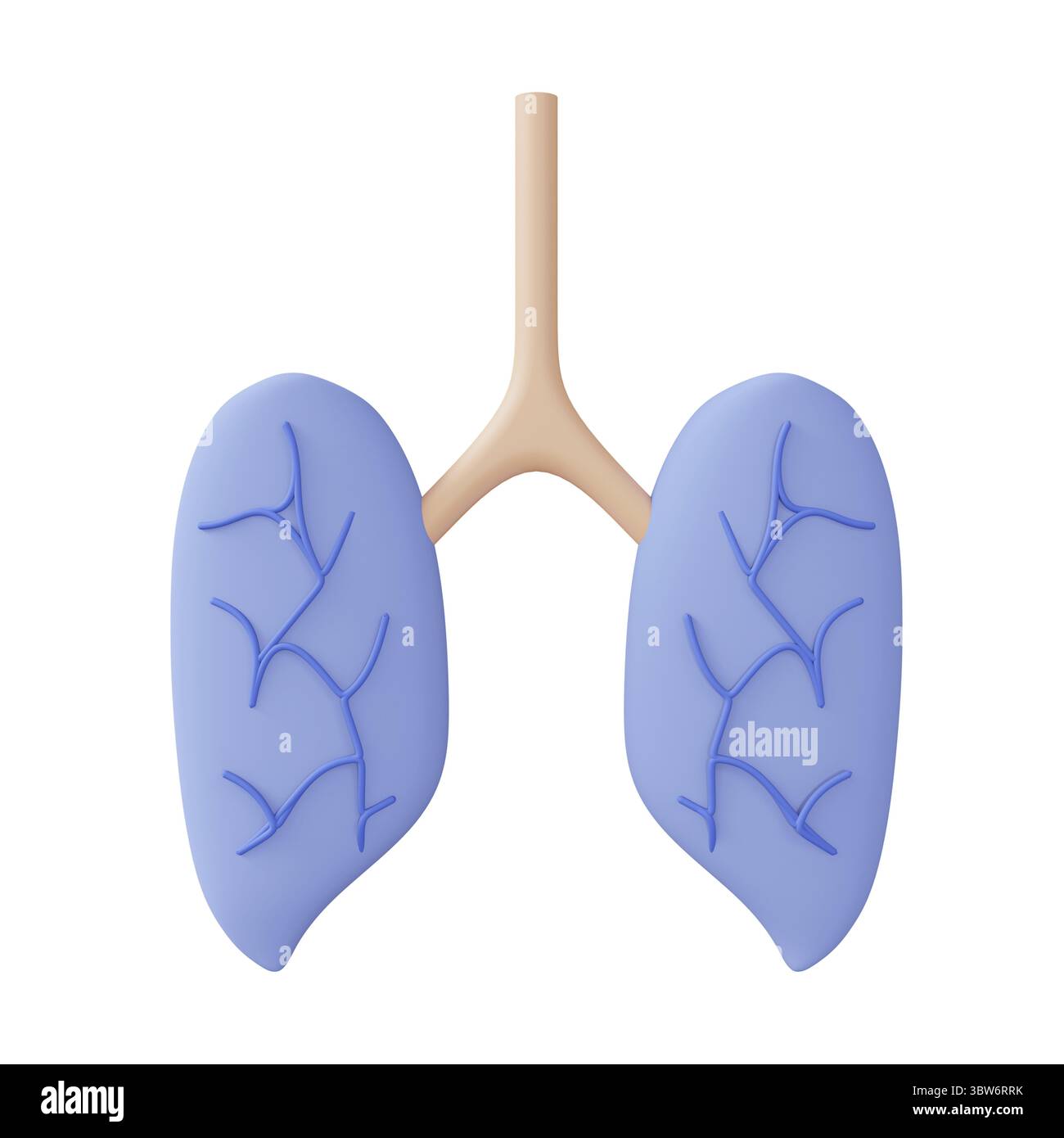 3D-Rendering der Lunge, 3D-Ikonen, pastellfarbene Minimal-Cartoon-Stil isoliert Stockfoto