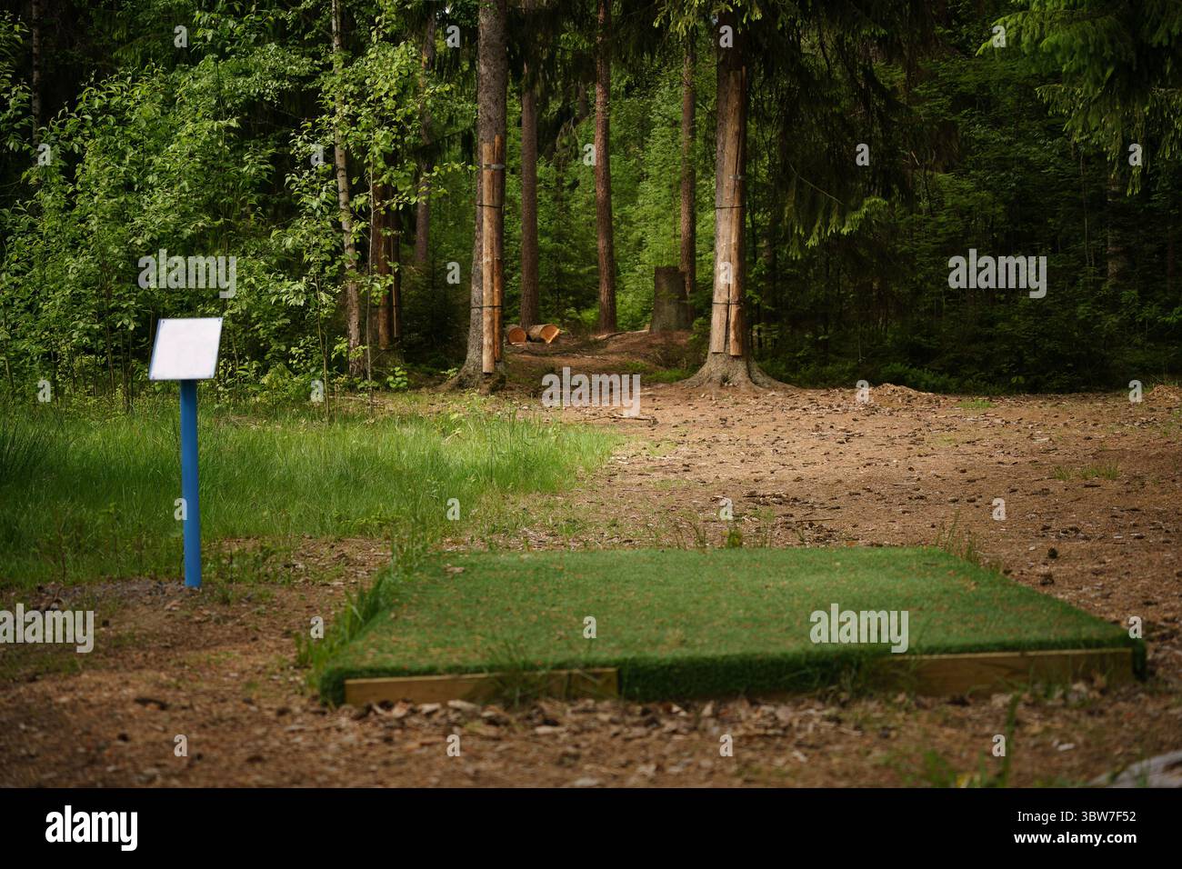 Disc-Golfplatz, der in einen Wald führt, mit Abschlagbereich im Vordergrund Stockfoto