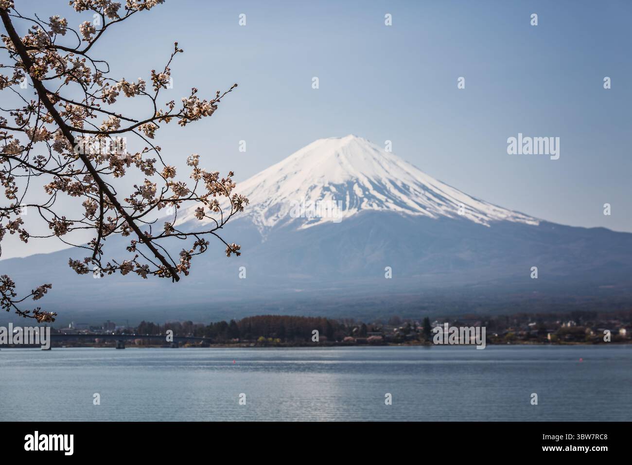 Der majestätische Gipfel des Mount Fuji, der mit einer leichten Schneestäubung geschmückt ist, erhebt sich stolz über einem ruhigen See. Die Kirschblüten im Vordergrund verleihen ihr einen Hauch von Stockfoto
