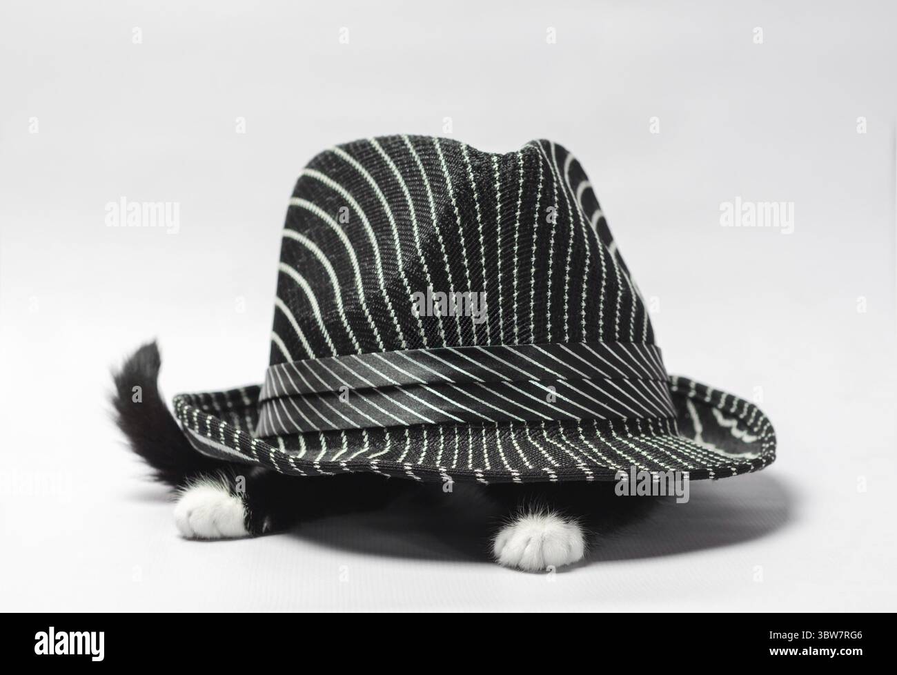 Schwarzes Kätzchen mit weißen Pfoten unter einem gestreiften schwarzen Hut Stockfoto