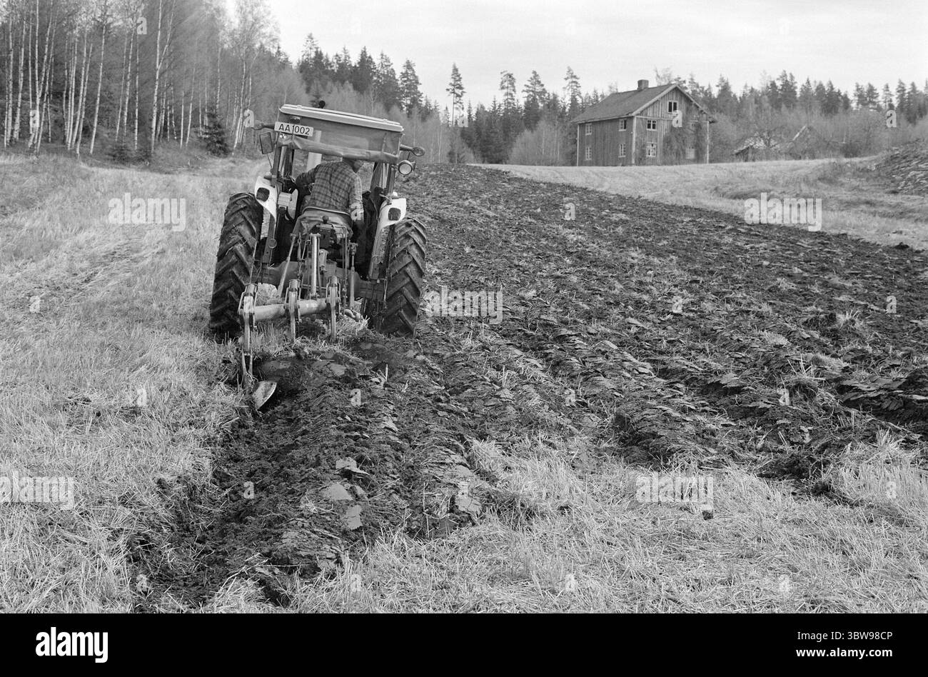 Tatsächlich 21. - 2. - 1971: Norwegen zieht in kleine Betriebsschließungen sind in Norwegen kein unbekanntes Phänomen - aber in Schweden ist der Erwerb kleiner Betriebe für "Sommerhäuschen" zu einer echten Geißel geworden. Zwei norwegische Bauern, Leif Nordgaard und Øyvind Knoph, sehen es anders: Sie pachten schwedisches Land. Foto: Sverre A. Børretzen / aktuell / NTB ***FOTO NICHT BEARBEITET*** Stockfoto