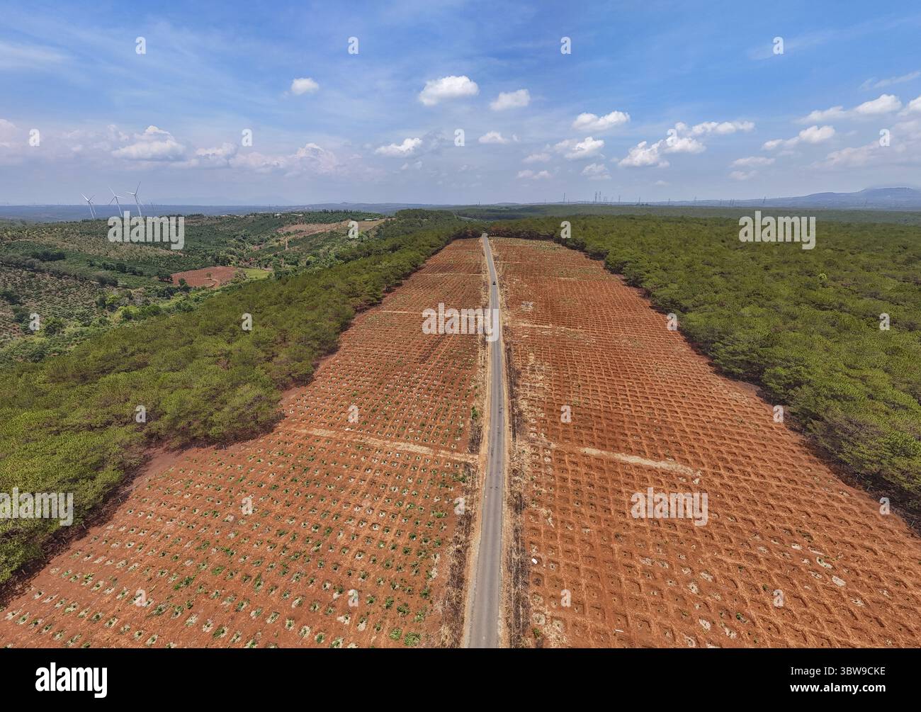 Eine gerade Straße aus der Vogelperspektive führt durch die rote Erde und die üppigen grünen Wälder unter einem riesigen Himmel, Pleiku, Gia Lai, Vietnam. Stockfoto