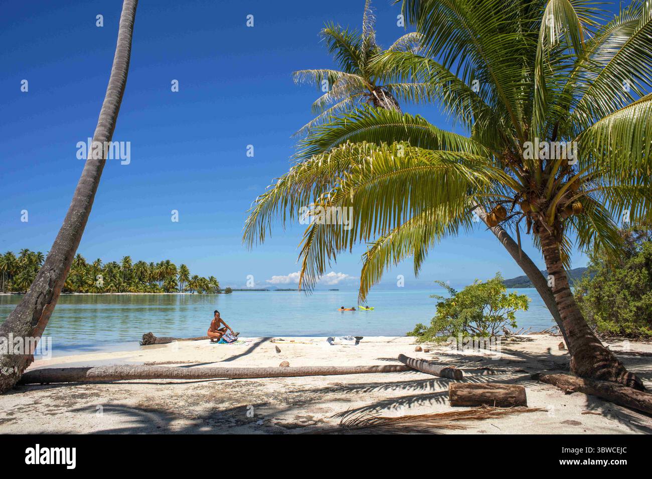 26. März 2015, Französisch-Polynesien: Tropisches Paradies Meereslandschaft Taha'a Insellandschaft, Französisch-Polynesien. Motu Mahana Palmen am Strand, Taha'a, Gesellschaftsinseln, Französisch-Polynesien, Südpazifik. (Kreditbild: © Sergi Reboredo/ZUMA Wire) Stockfoto