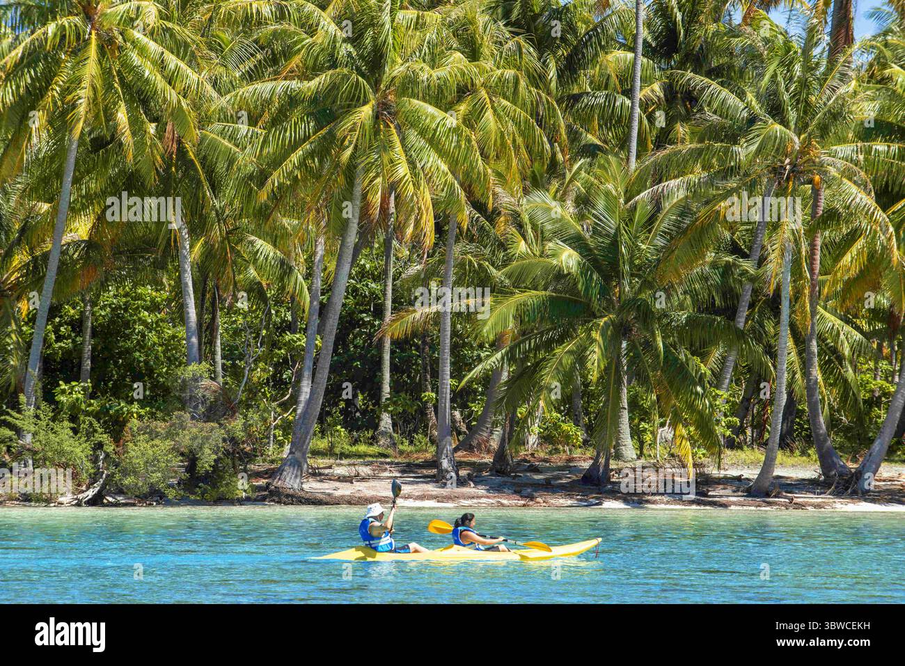 25. März 2015, Französisch-Polynesien: Kajakfahren am Strand der Insel Taha'a, Französisch-Polynesien. Motu Mahana Palmen am Strand, Taha'a, Gesellschaftsinseln, Französisch-Polynesien, Südpazifik. (Kreditbild: © Sergi Reboredo/ZUMA Wire) Stockfoto