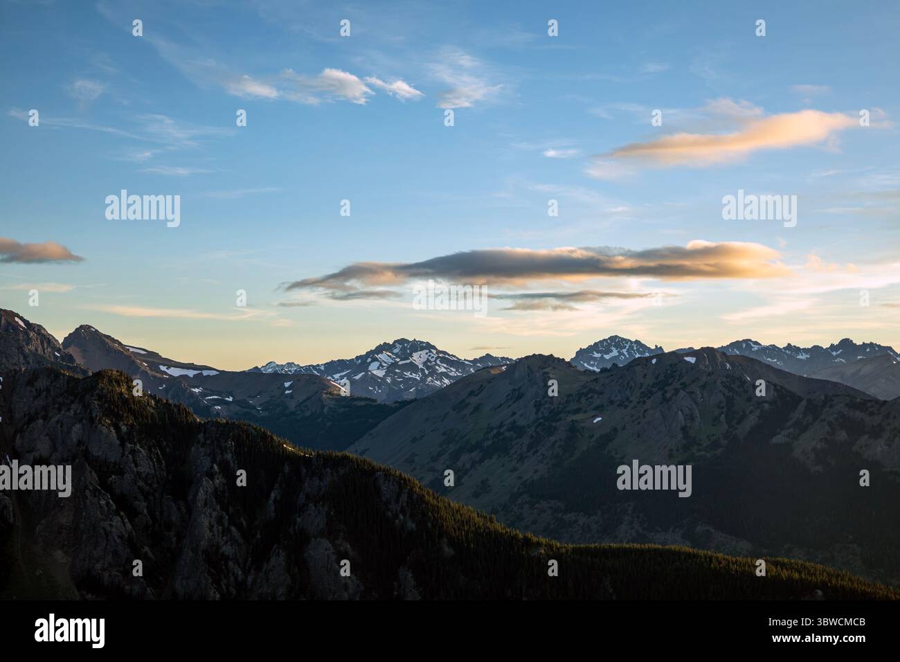 WA28524-00...WASHINGTON - Abendblick auf die Olympic Mountains von der Buckhorn Wilderness. Stockfoto