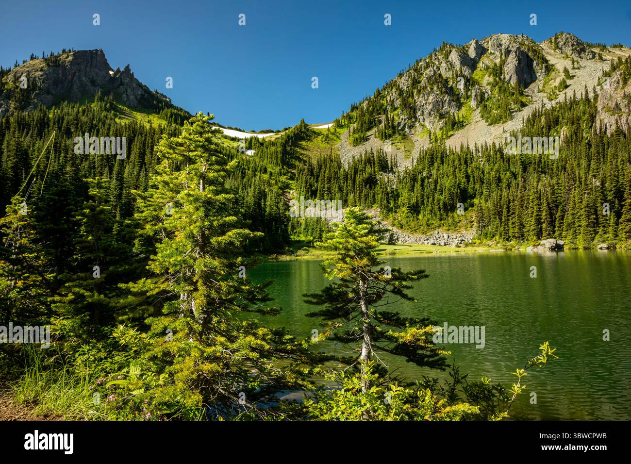 WA28538-00 - WASHINGTON - Ein sonniger Tag am Silver Lake in der Buckhorn Wilderness des Olympic National Forest. Stockfoto