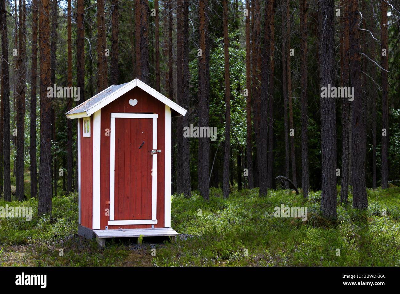 Traditionelles rotes hölzernes Toilettenhaus mit weißen Kanten im Wald mit Baumstämmen und Blaubeerbüschen Stockfoto