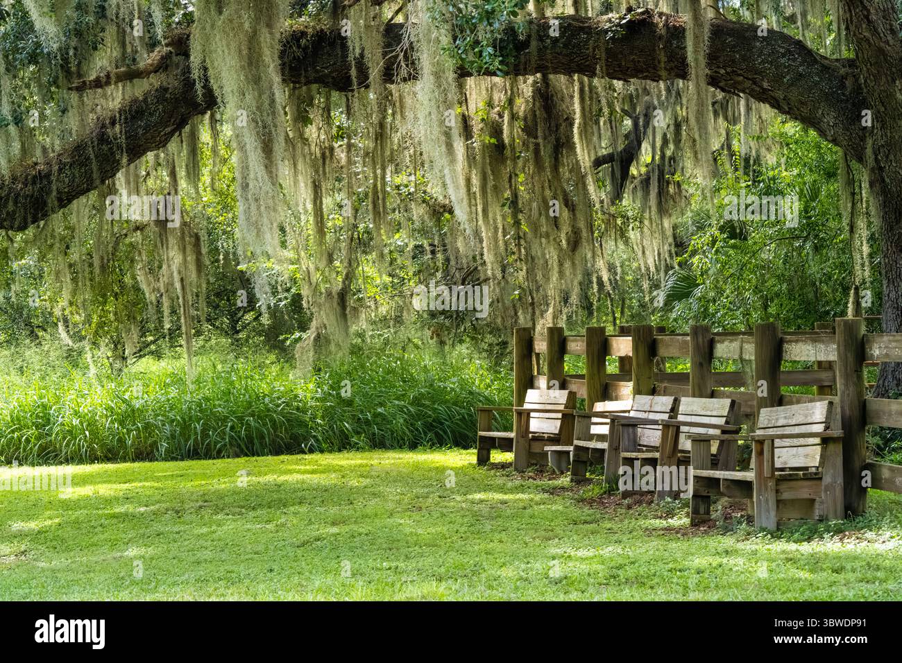 Holzbänke an den alten Ställen entlang des La Chua Trail im Paynes Prairie Preserve State Park in Gainesville, Georgia. (USA) Stockfoto