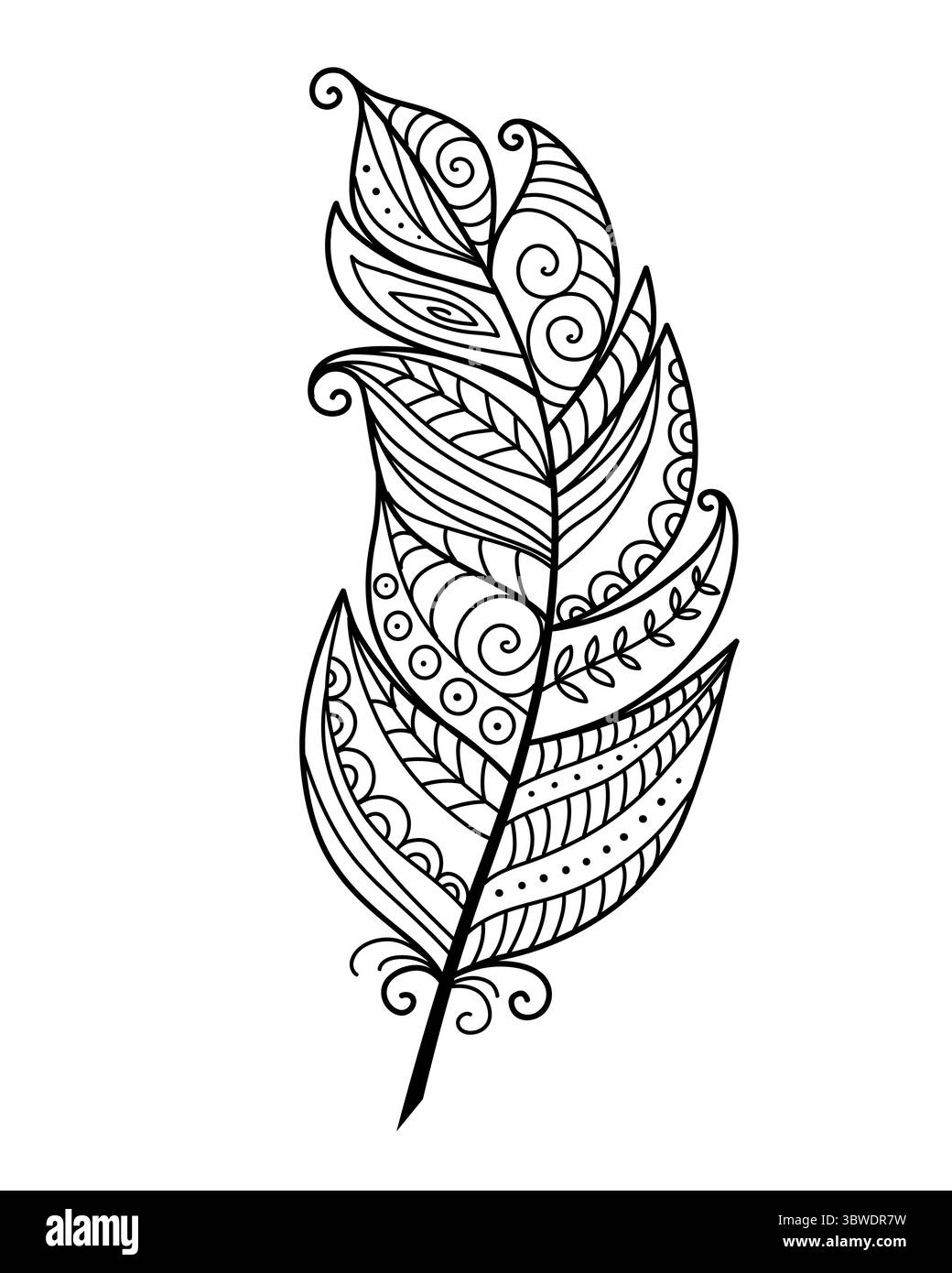Dekorative Kritzelfeder Hand gezeichnet schwarze Umrandung auf weißem Hintergrund Stock Vektor
