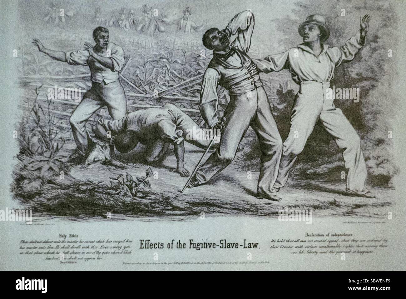 Auswirkungen des politischen Zeichentrickfilms des Flüchtigen Sklavengesetzes 1850 Stockfoto