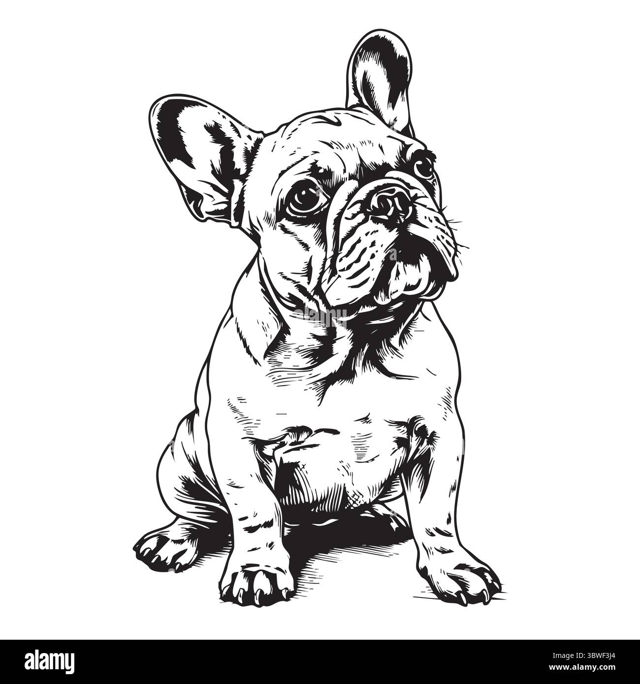 Französisches Bulldog-Hundegesicht. Vektorabbildung. Stock Vektor