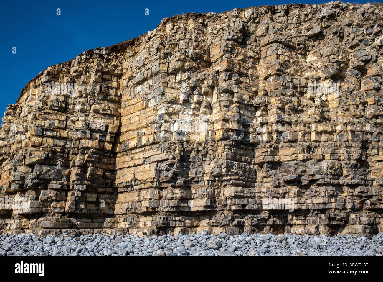 Cliff Face and Beach in Llantwit Major Glamorgan South Wales UK Stockfoto