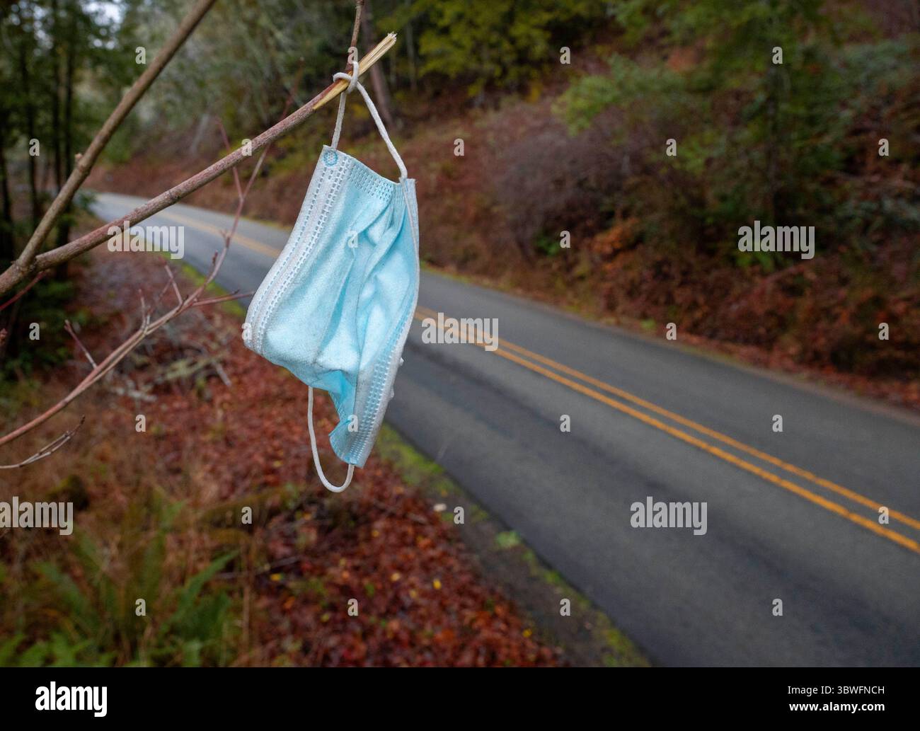 31. Dezember 2020, Elkton, OREGON, USA: Eine Maske, die zum Schutz vor COVID-19 verwendet wird, vor einem Zweig, der etwa 10 Meter über dem Boden entlang einer leicht befahrenen Landstraße in der Nähe von Elkton im ländlichen Douglas County Oregon liegt. Während die Pandemie in der ganzen Welt und in den Vereinigten Staaten weiterhin sehr aktiv ist, war sie in Oregon und noch mehr in Douglas County relativ ruhig. Dr. Bob Dannenhoffer vom Douglas County COVID-19 Response Team sagte am Mittwoch, Ã’Ich glaube, dass Douglas County seit gestern (29. Dezember) die niedrigste Infektionsrate für einen Bezirk über 100.000 in der Gesamtbevölkerung hatte Stockfoto