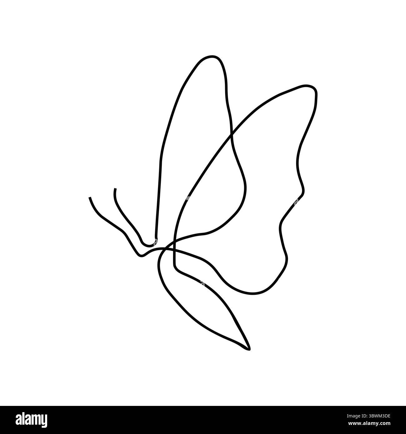 Zarte schwarze Linienzeichnung einer Blütenblüte-Silhouette Stock Vektor