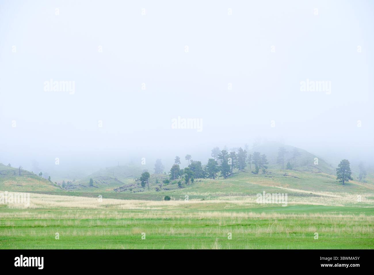 Ein nebeliger Morgen lässt sich über den sanften Hügeln und Graslandschaften von Pine Ridge in der Nähe von Crawford, Nebraska, nieder und hüllt die Landschaft in weichen Nebel. Stockfoto