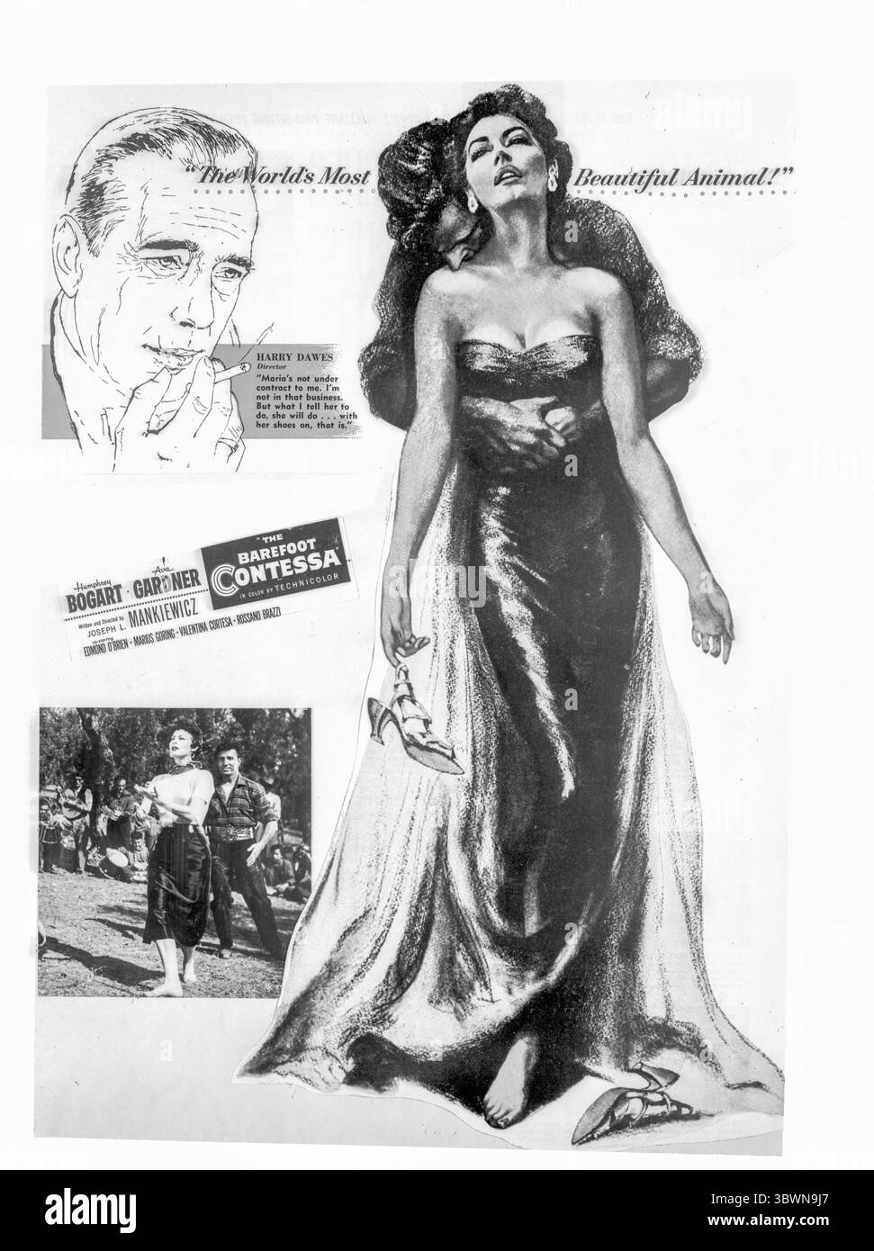 Ein Poster für die Barfuß-Contessa. (Foto: © Movie Star News via ZUMA Press Wire Service) Stockfoto