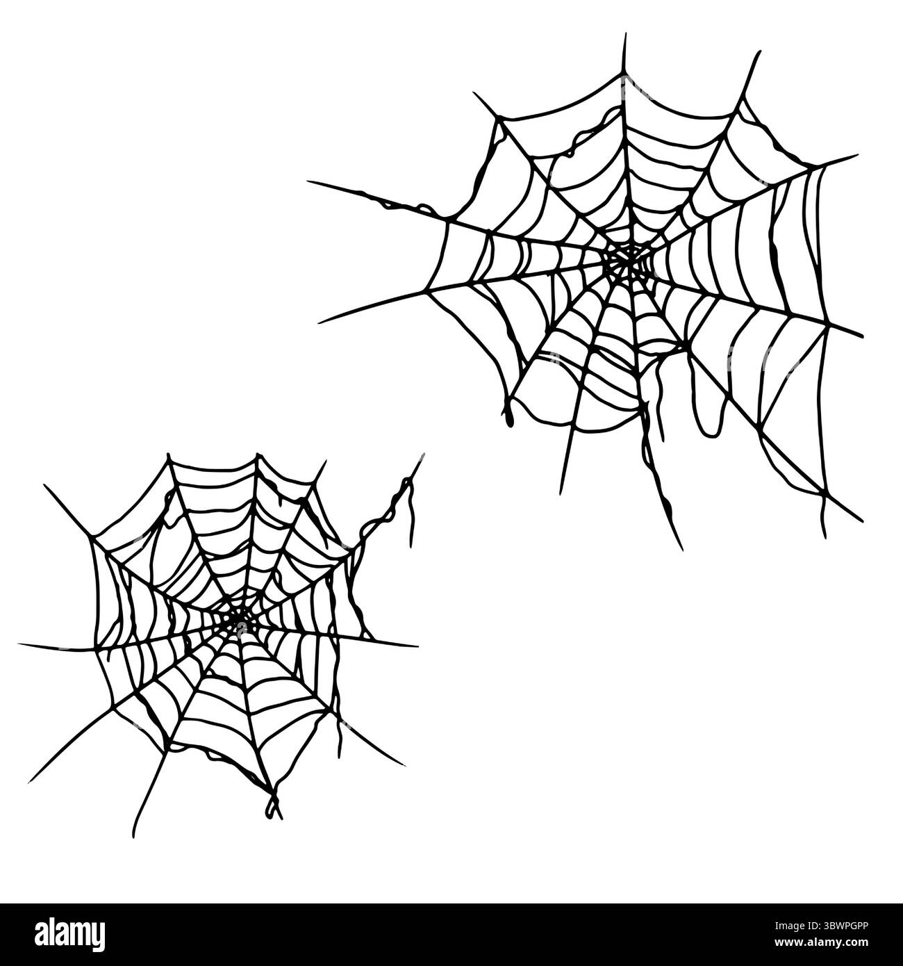 Spinnennetz, Satz Silhouetten, Skizze mit schwarzer und weißer Tinte. Vektorabbildung. Traditionelle Einrichtung ist eine Halloween-Feier, isoliert auf einem weißen Stock Vektor